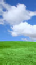 Click to view Background of Paul Terbit